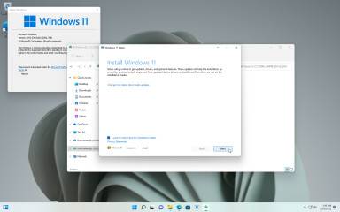 1653515433_snag-0008_thumb