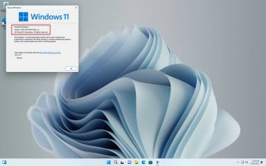 1653515444_snag-0013_thumb