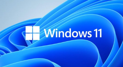 Win11诊断数据如何打开-Win11诊断数据打开教程