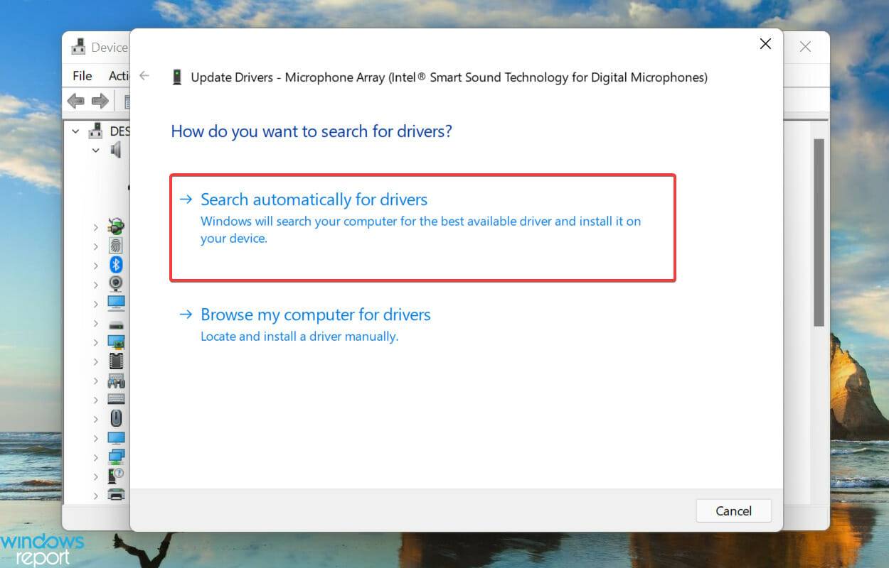 Windows 11 的语音输入不起作用?应用这些修复