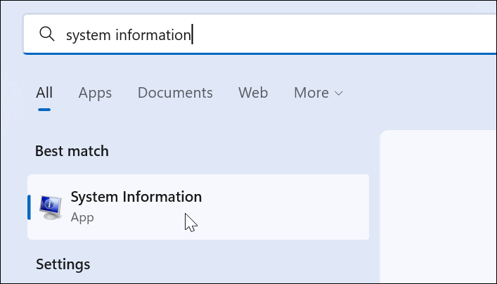 如何在 Windows 11 上检查您的显卡