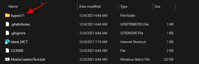 bypass-checks-new-dec-2021-7