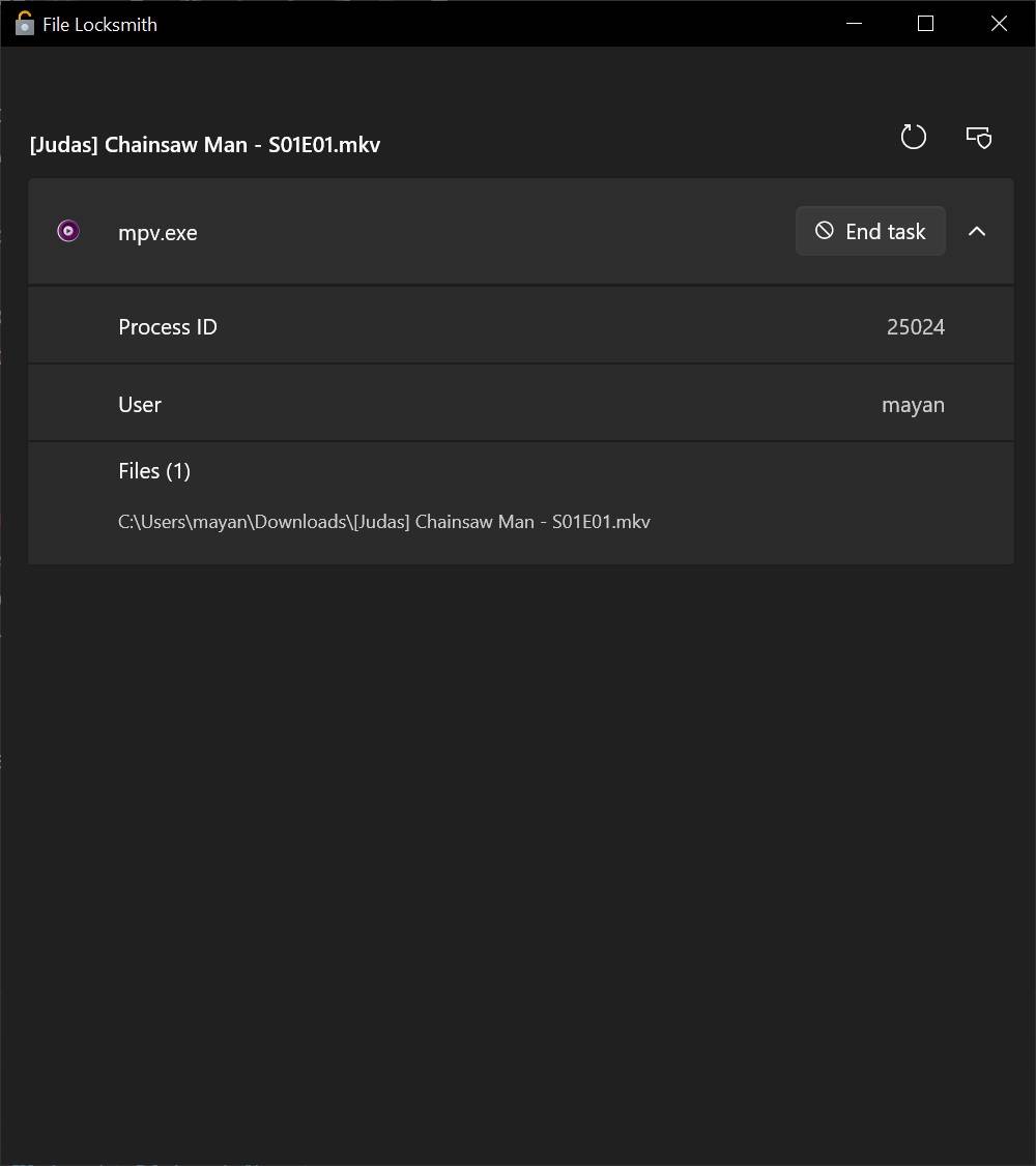 Windows-11-File-Locksmith