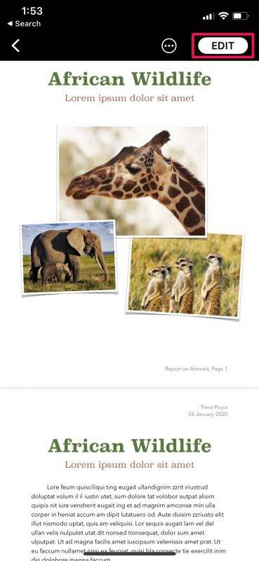 如何在 iPhone 和 iPad 上对页面、主题演讲和数字文档进行密码保护