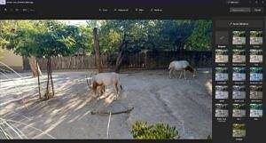 WIndows-11-photo-editor-Filter-tab-300x161-1