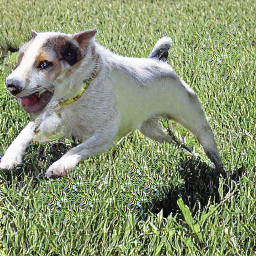 EasyNLP中文文图生成模型带你秒变艺术家