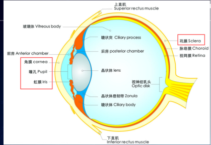 Unity大中华区平台技术总监杨栋：开启元宇宙的数字人之旅