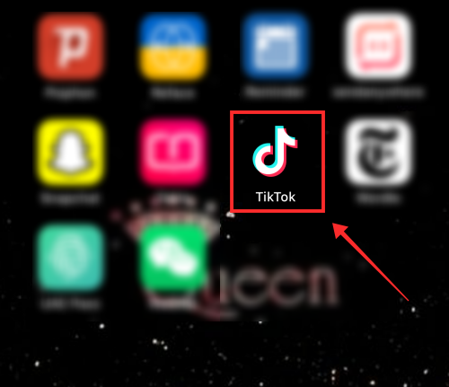 2022 年阻止 TikTok 的 5 种方法，包括您是否已经被阻止