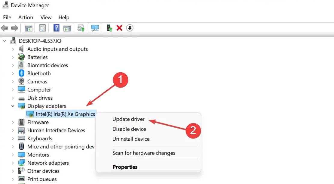 driver-display-adapter