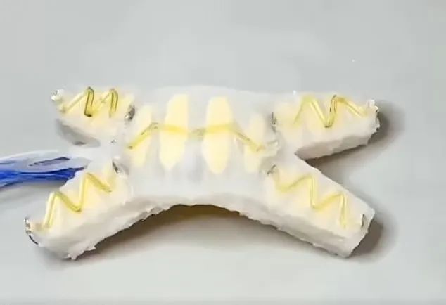 康奈尔大学推出终结者式机器人！被刺伤后能检测到损伤，还可以当场自我修复