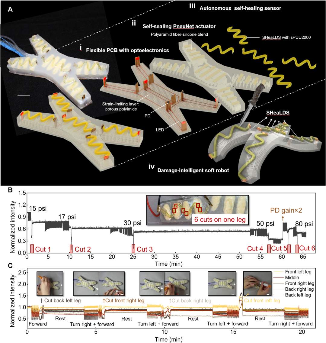 康奈尔大学推出终结者式机器人！被刺伤后能检测到损伤，还可以当场自我修复