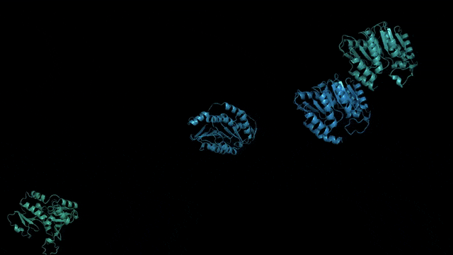 Meta打造首个「蛋白质宇宙」全景图！用150亿参数语言模型，预测了6亿+蛋白质结构