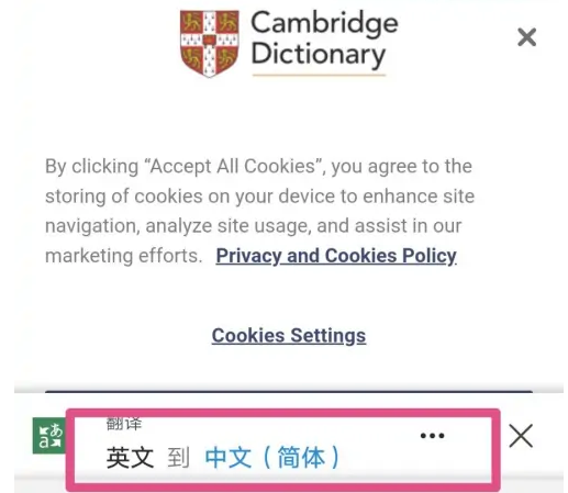edge浏览器翻译怎么打开