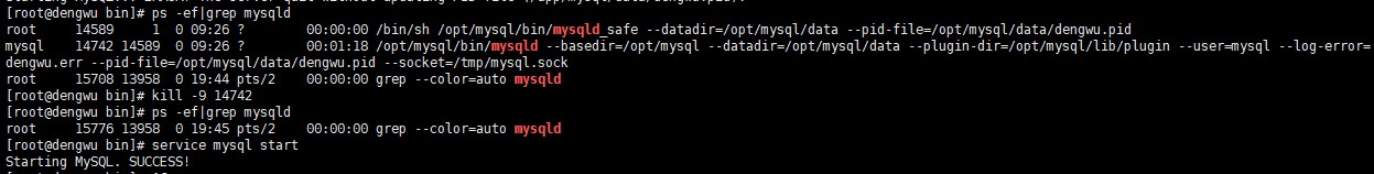 如何在Linux系统中安装MySQL数据库？