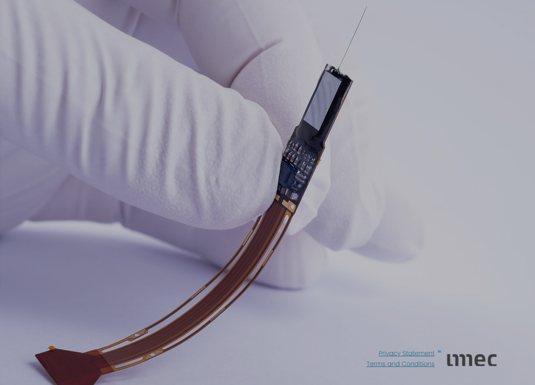 黑客帝国降临！埋入1万个微米电极窃听大脑，马斯克脑机将植入人体