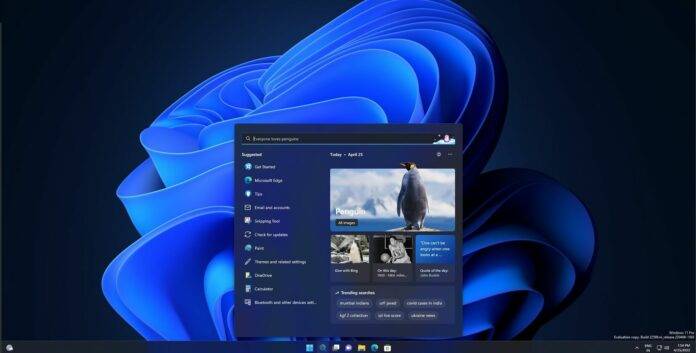 Windows 11 的新搜索 UI 已发布，但准确性问题仍然存在
