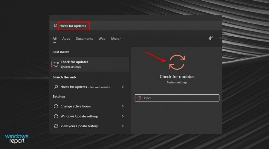 修复:在 Windows 11 上运行 Valorant 时出现 VAN 1067 错误