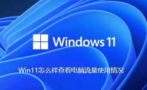 Win11怎么样查看电脑流量使用情况-Win11查看电脑流量使用情况的指南