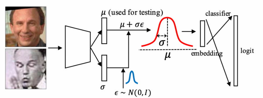 达摩院提出更鲁棒的框架,解决低质量图像干扰视觉识别问题。
