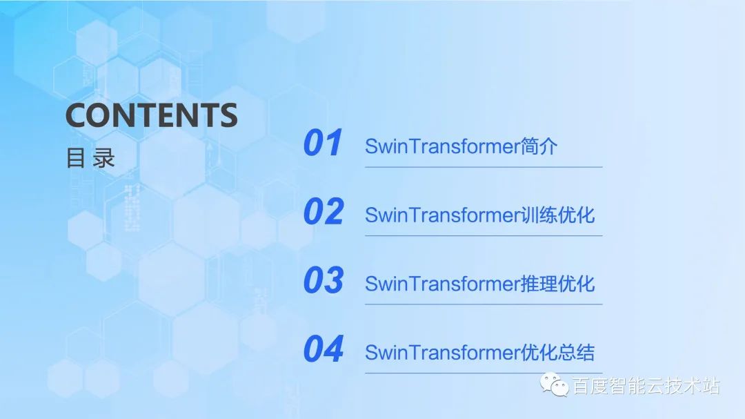 视觉大模型训练和推理加速