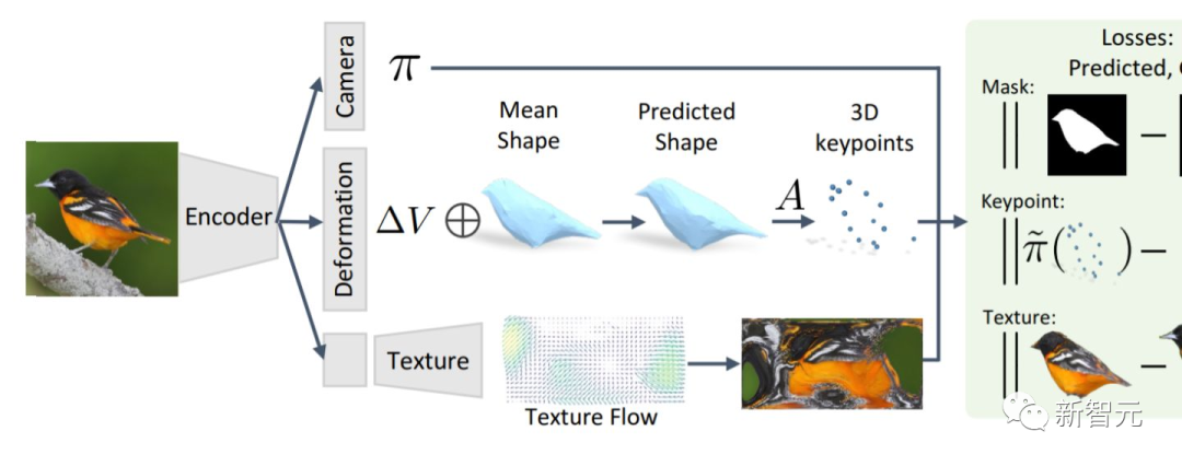 帮林志颖修脸的3D重建，用两块A100加二维CNN就可以实现！