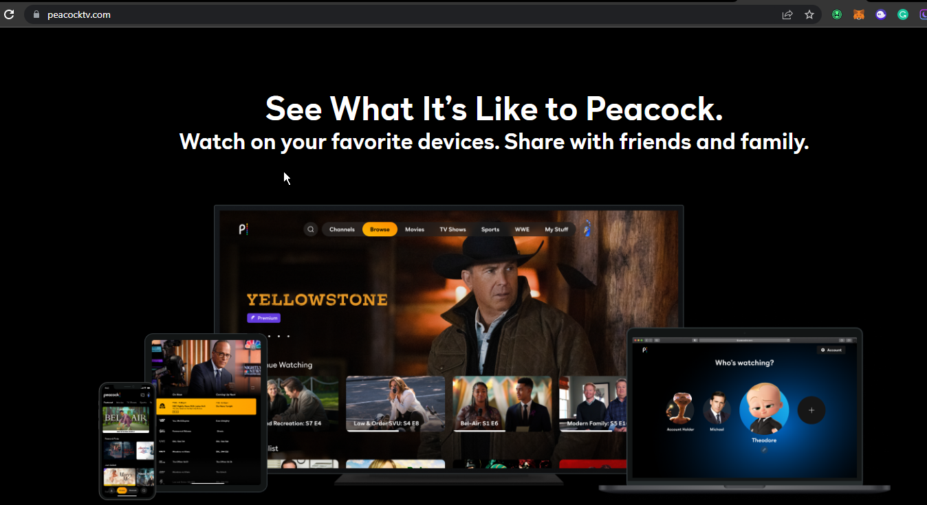 2022 年支持的 5 个孔雀电视最佳浏览器