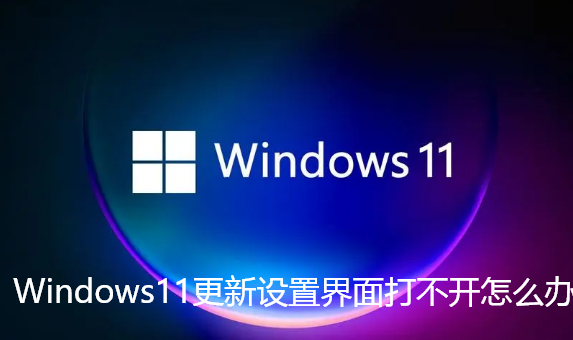 Windows11更新设置界面打不开怎么办