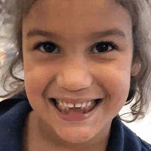 万字解读首篇「人脸复原」综述！南大、中山、澳国立、帝国理工等联合发布