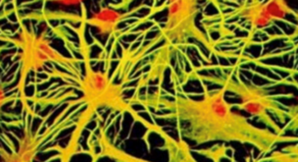 ChatGPT爆火出圈带来的AI网络安全的思考