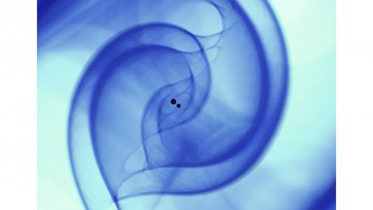 AI 正在引领一场新型科学革命 AI 正在引领一场新型科学革命