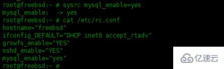 如何在FreeBSD 13上安装和配置MySQL数据库