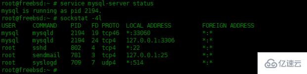 如何在FreeBSD 13上安装和配置MySQL数据库