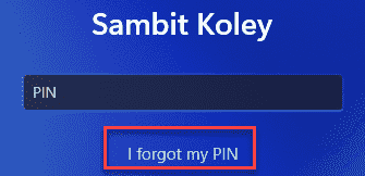 修复：无法在 Windows 11 或 10 中添加或修改 PIN
