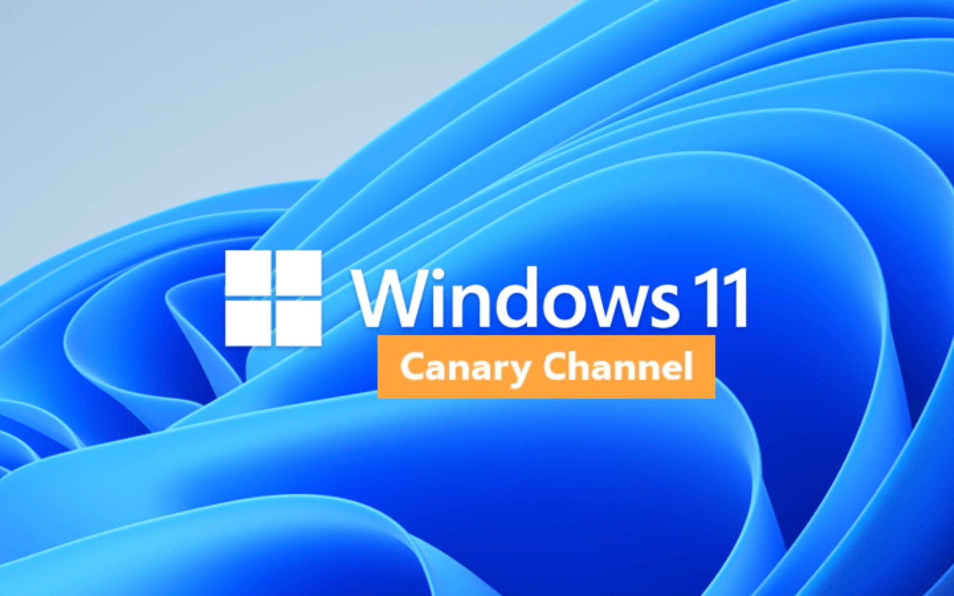 您可以在 Windows 11 内部版本 25330 中卸载相机应用