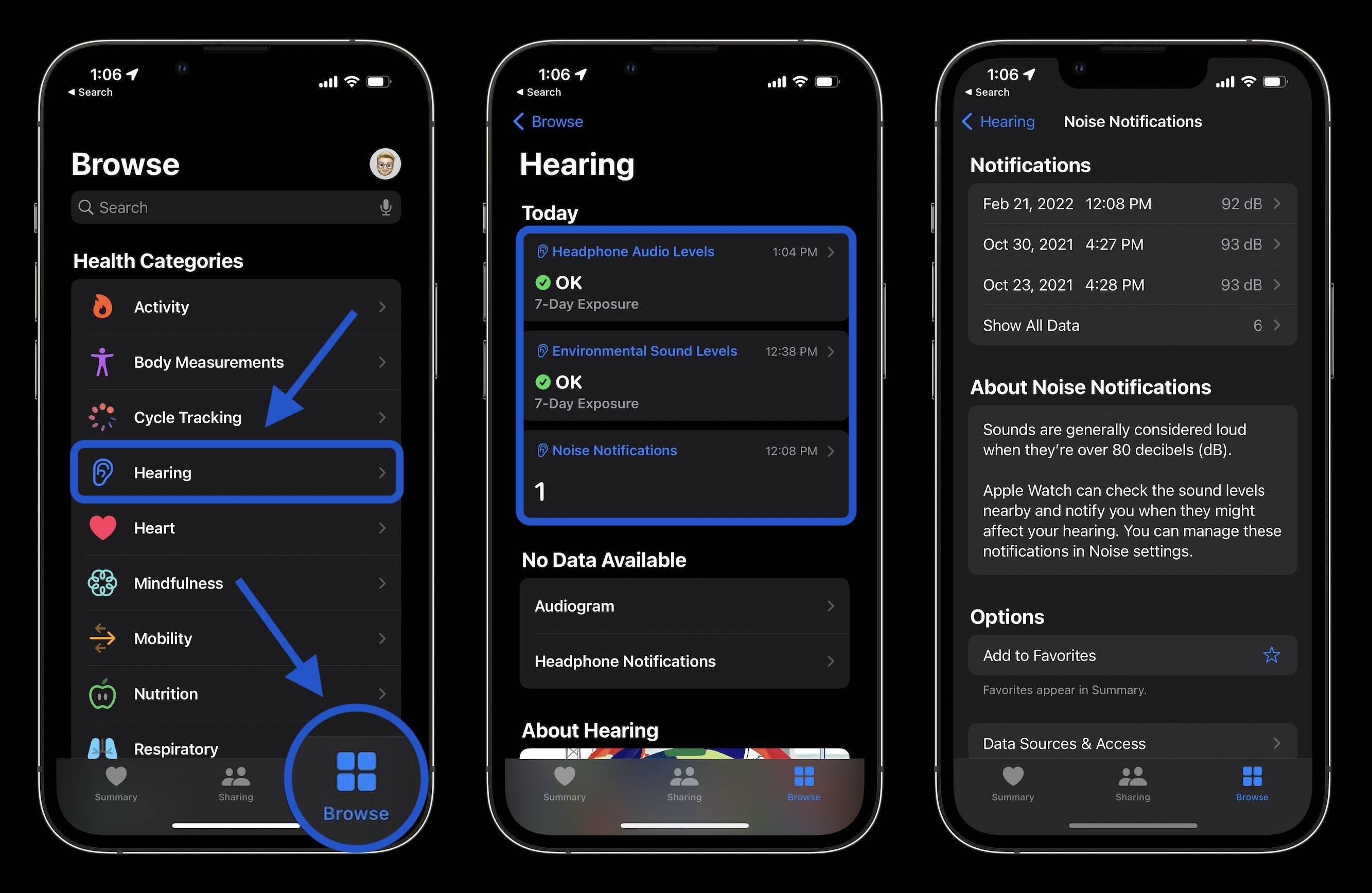 decibel-levels-with-iphone-and-apple-watch-4