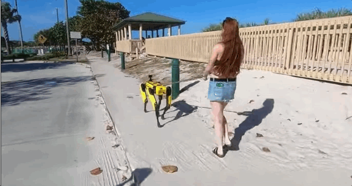 站起来，不准跪！一根棍子帮机器狗完成“狗”到“人”进化，关键还适应不同品牌的狗