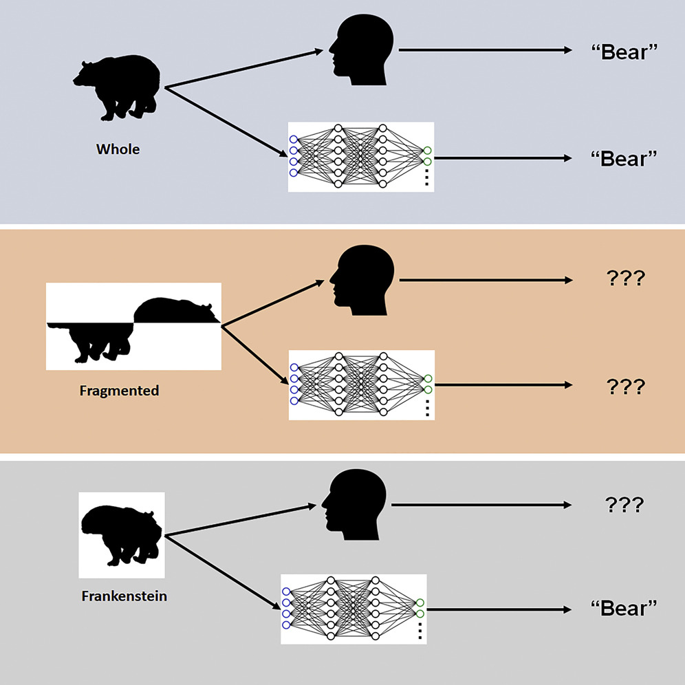 约克大学：AI进步很快，但它的识别能力比人眼还是差远了