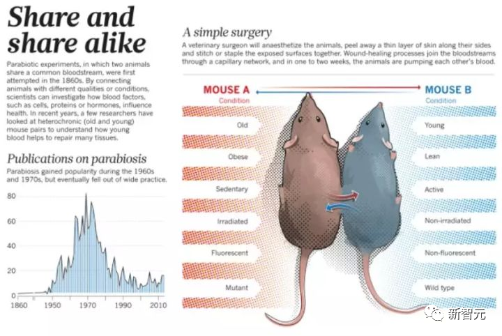 OpenAI竟诞生于这个饭局！38岁ChatGPT之父还想让两个男人怀上孩子