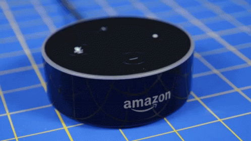 谷歌AI有人格？MIT这个「疯」教授说Alexa也有