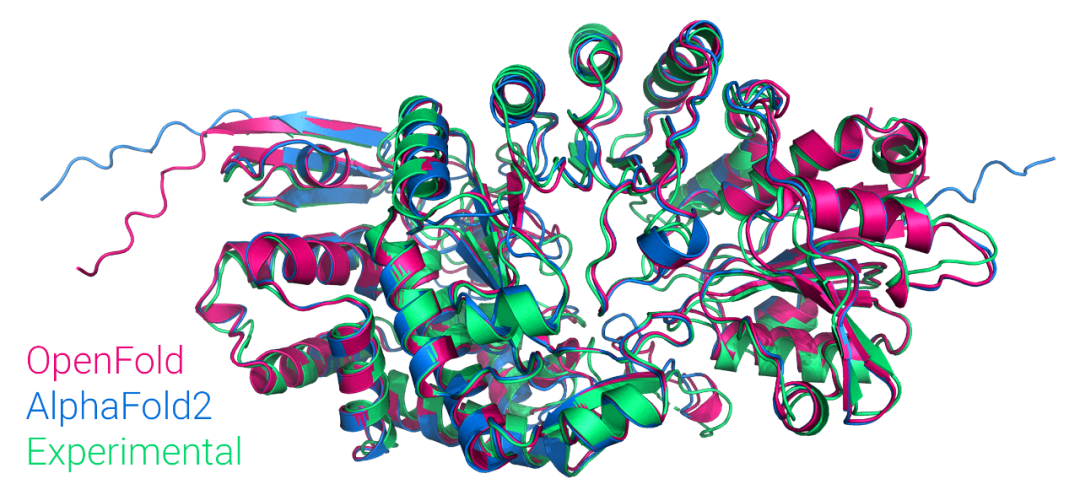 首个大众可用PyTorch版AlphaFold2复现，哥大开源，star量破千