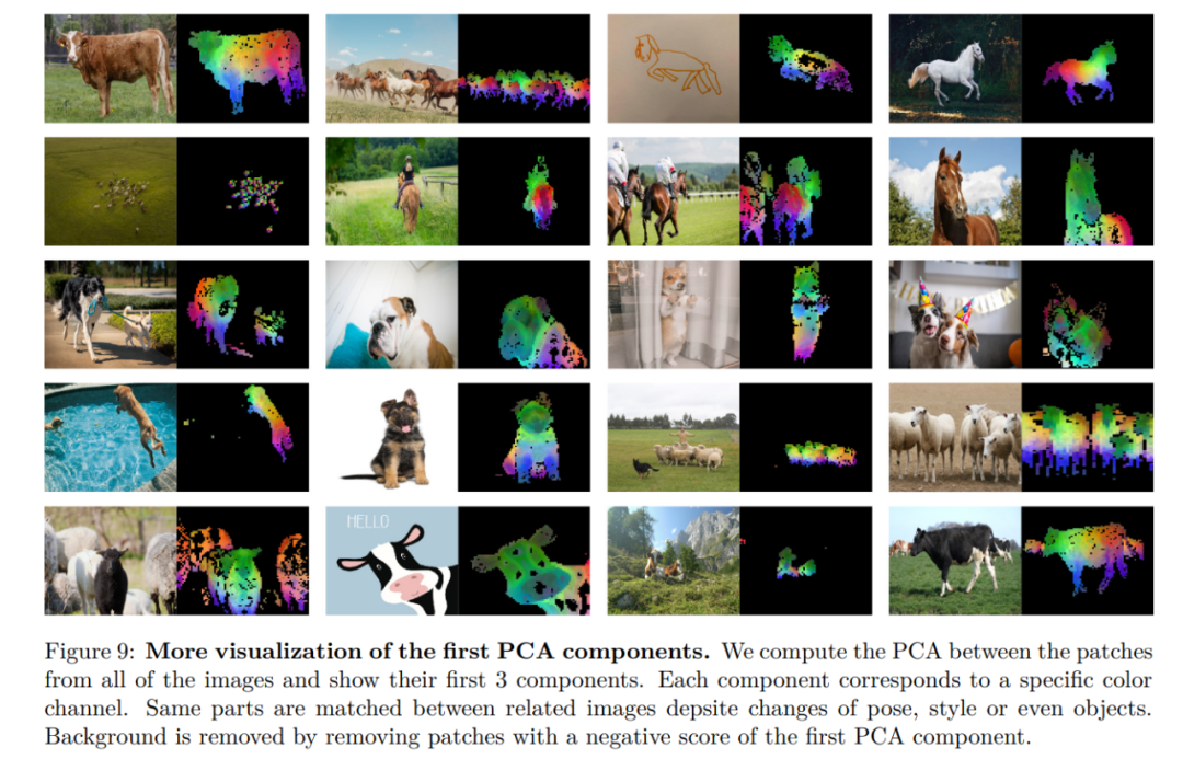 Meta发布多用途大模型开源代码，为离视觉大一统更进一步打下基础