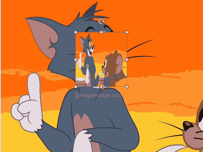 如何在 PowerPoint 应用程序中模糊图像的一部分