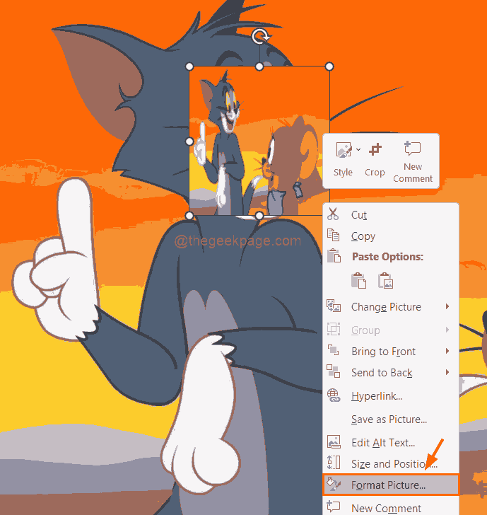 如何在 PowerPoint 应用程序中模糊图像的一部分