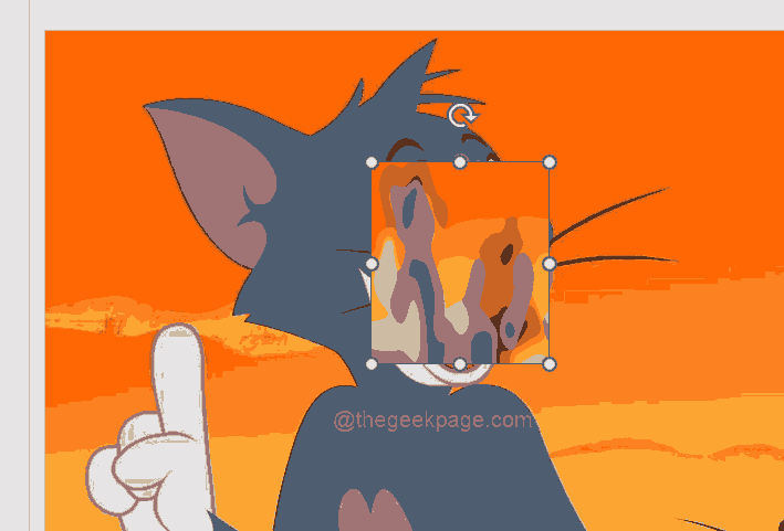 如何在 PowerPoint 应用程序中模糊图像的一部分