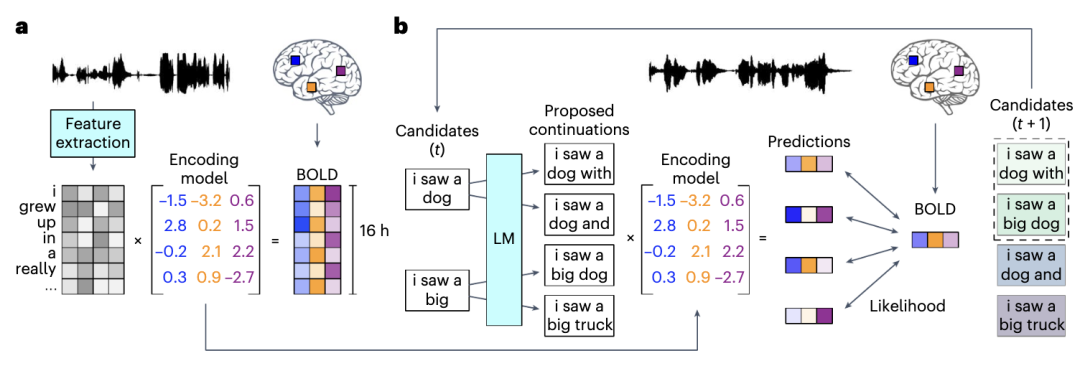 AI通灵!类ChatGPT模型解码大脑信息,准确率高达82%