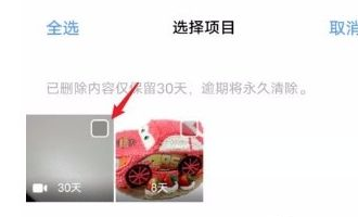 vivo浏览器怎么恢复删除的视频文件