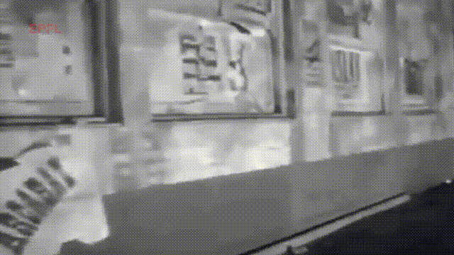 AI读心重磅突破登Nature!大脑信号1秒被看穿,还能预测未来画面