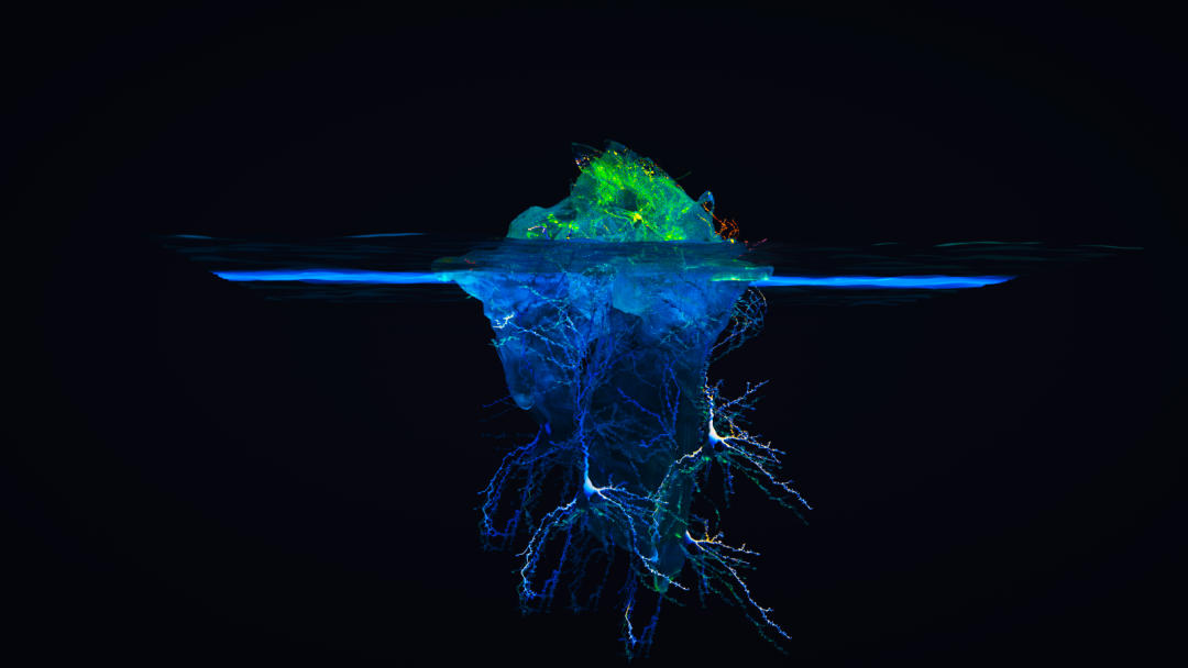 AI读心重磅突破登Nature!大脑信号1秒被看穿,还能预测未来画面