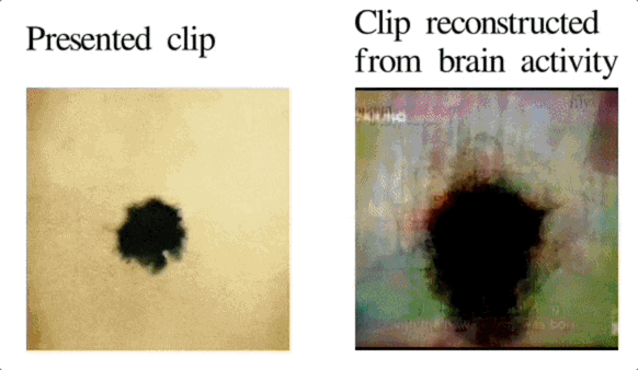 AI读心重磅突破登Nature!大脑信号1秒被看穿,还能预测未来画面