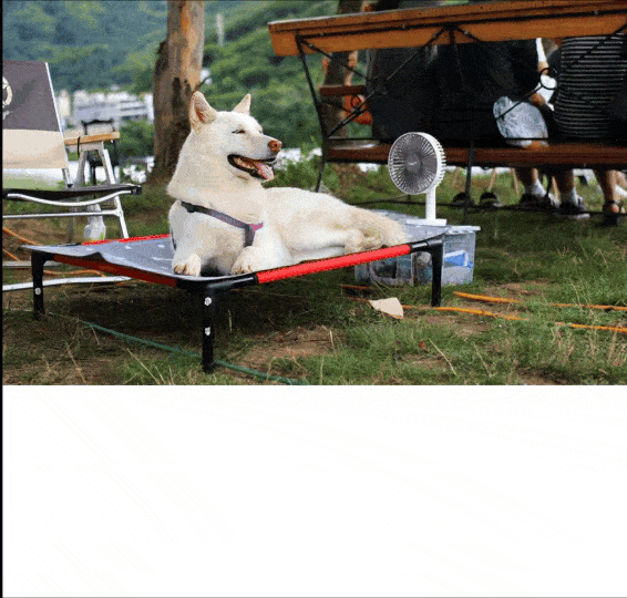 Prompt都不需要了，动动手就能玩多模态对话系统，iChat来啦！